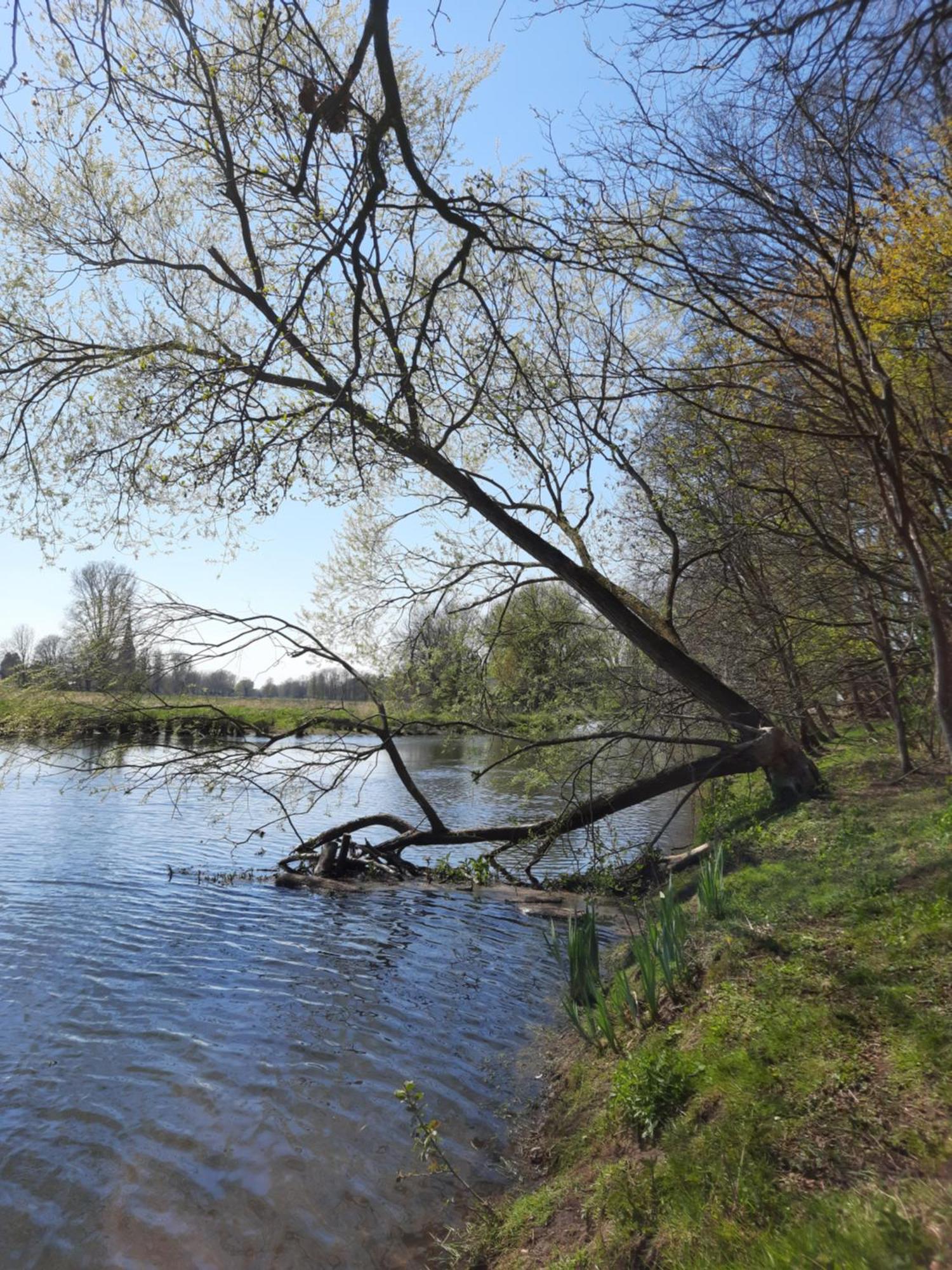 Ferienhaus Am See Goch Kessel Cameră foto